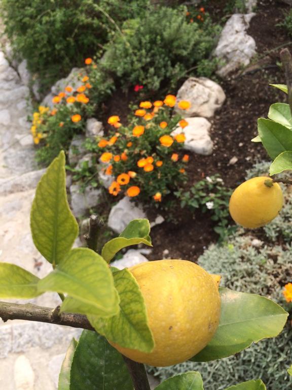 Malnago B&B Alla Bonacina מראה חיצוני תמונה