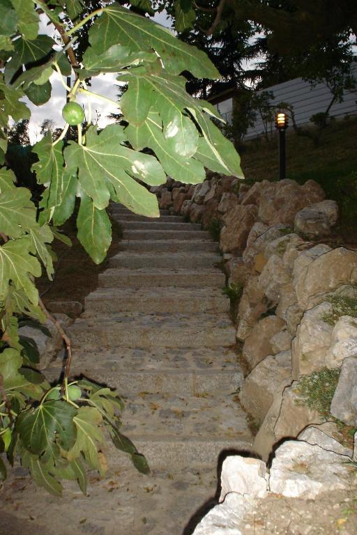 Malnago B&B Alla Bonacina מראה חיצוני תמונה